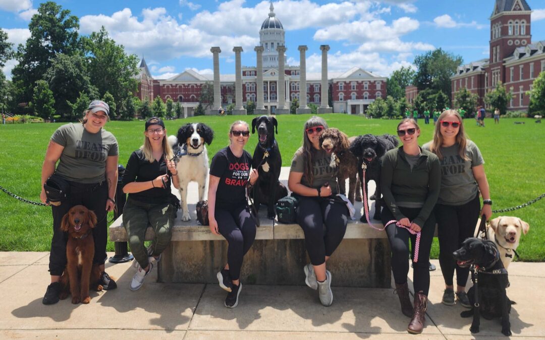 Quarterly Giveback: Dogs For Our Brave